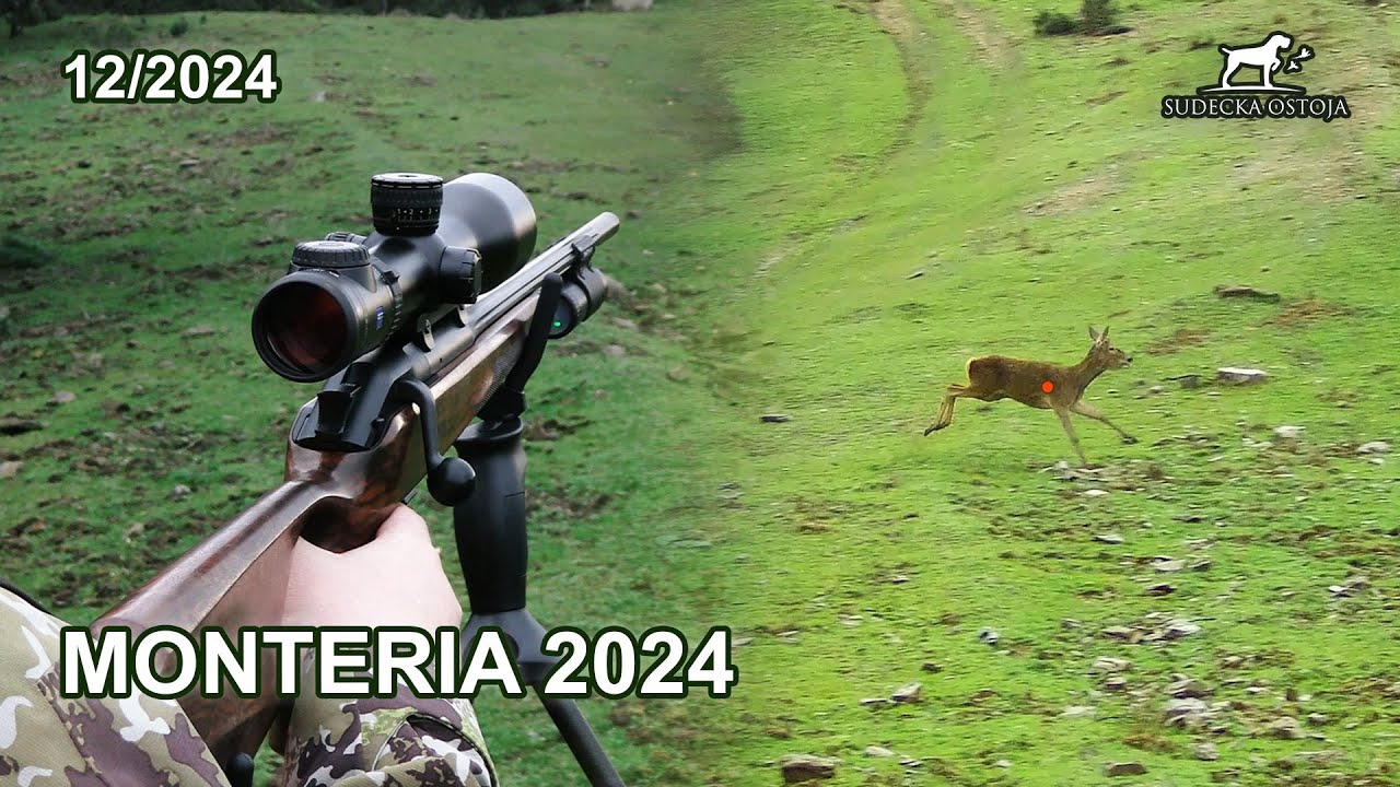 Monteria 2024 Polowanie zbiorowe w Hiszpanii - SUDECKA OSTOJA 12/2024 Driven Hunt