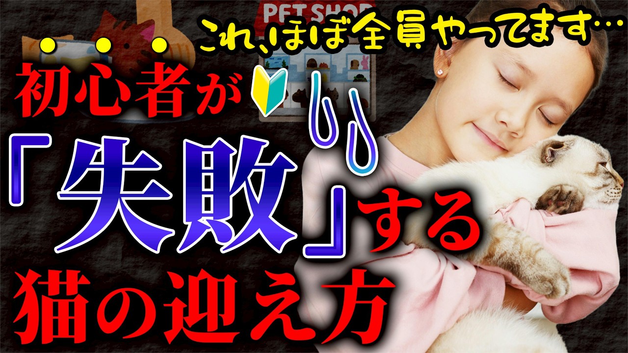 【知らないと損！】初めての飼育で失敗しやすい猫の飼い方をプロが徹底解説します！