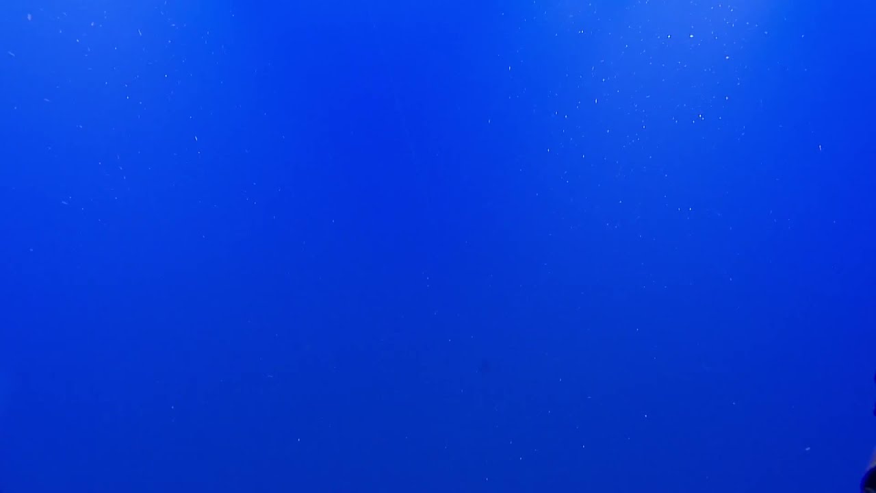 ROV Hercules Dive NA135 H1898 32 of 32 2021 12 12 21 51 31 187 UTC 78