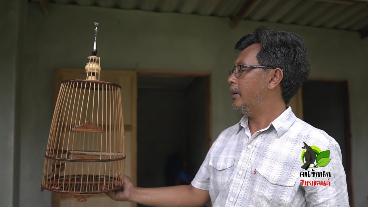 กรงแข่งกับนกเก่ง - คนรักนกไทยแลนด์ EP.250