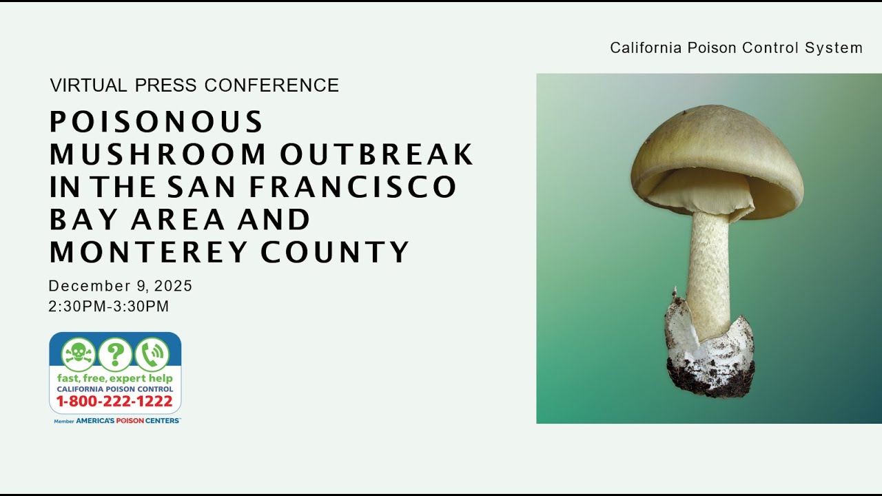 12/9/25, Press Conference, Pt.1: Poisonous Mushroom Outbreak in the SF Bay Area & Monterey Counties