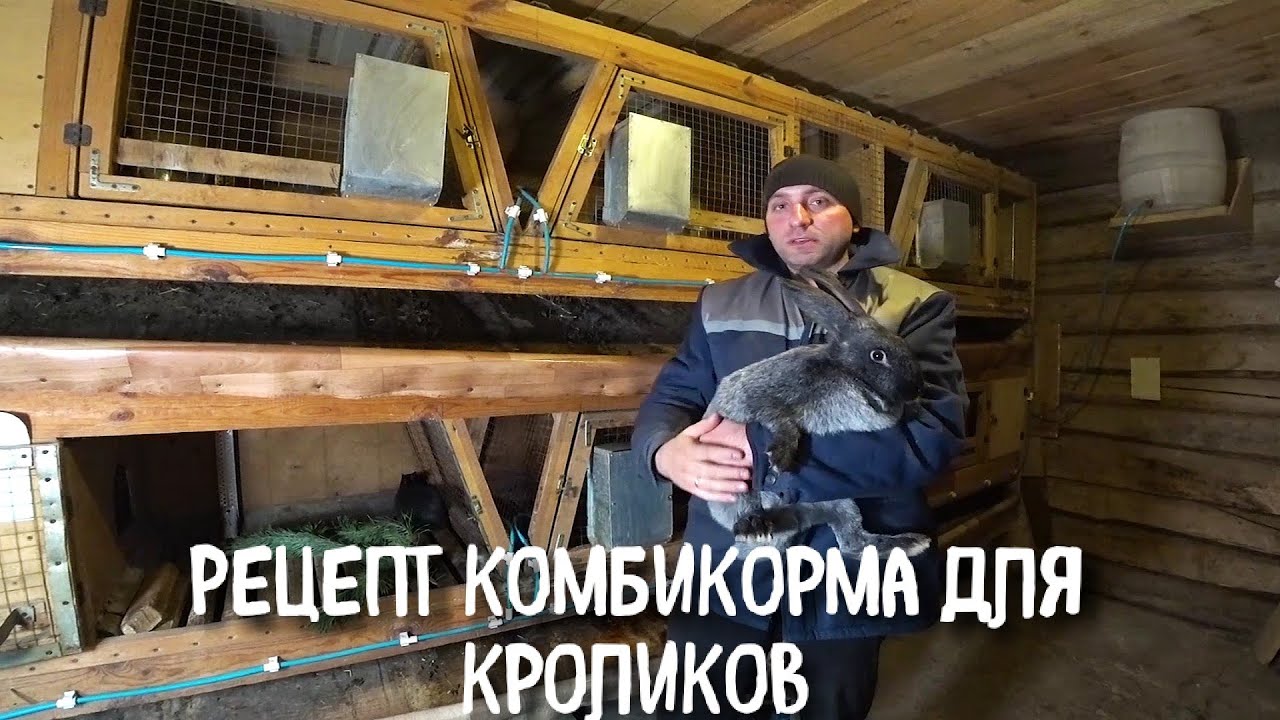 Что с кроликами//Рецепт кроличьего комбикорма