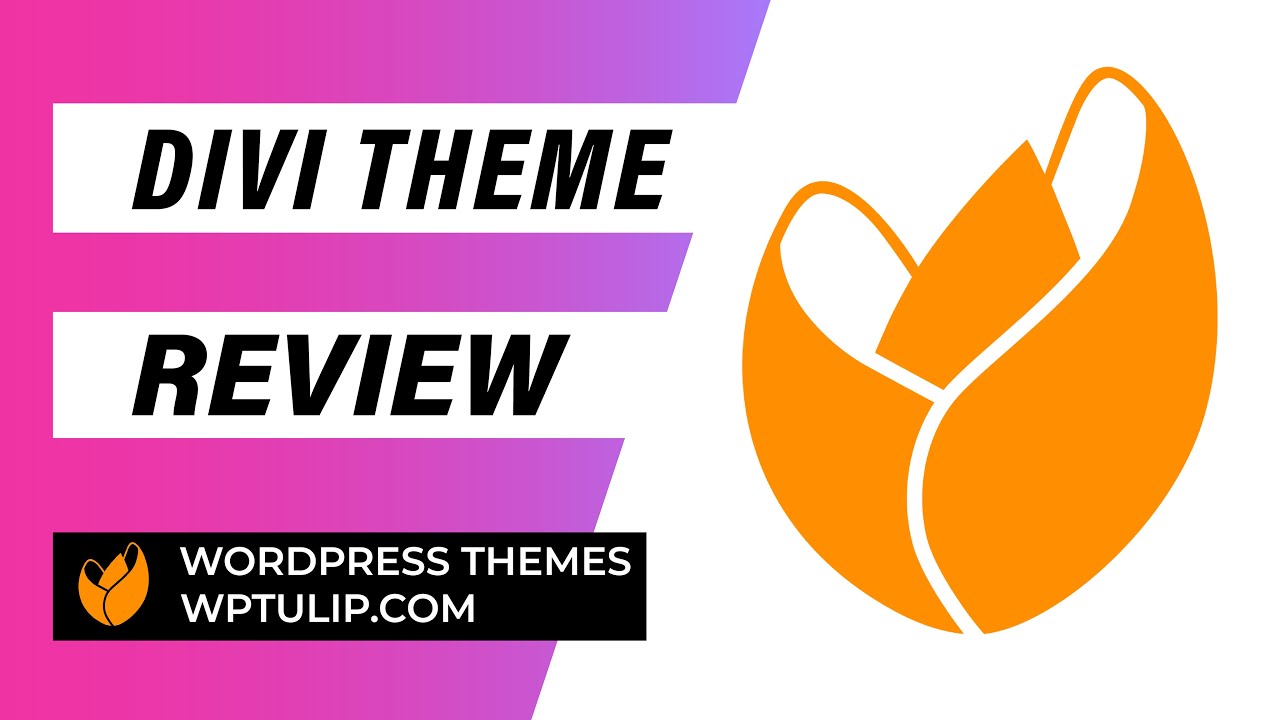 Divi Theme Review