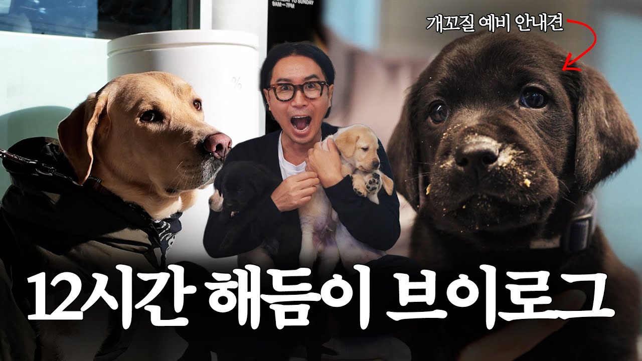 해듬이 새끼 친구들 보러 갔다가 강아지 훔쳐올 뻔 ..아;