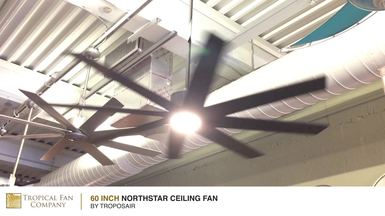 60 inch Northstar Ceiling Fan by TroposAir