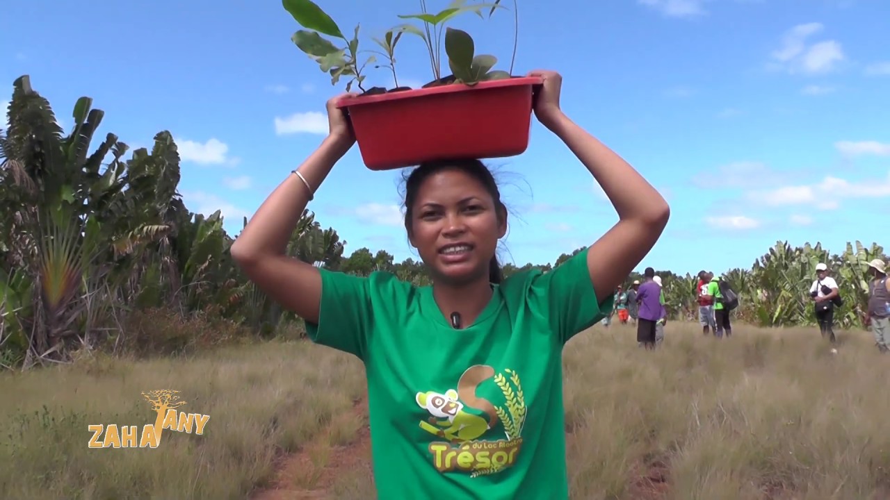Zahatany 21 Septembre 2019 |Reboisement pour le tourisme durable à Madagascar|