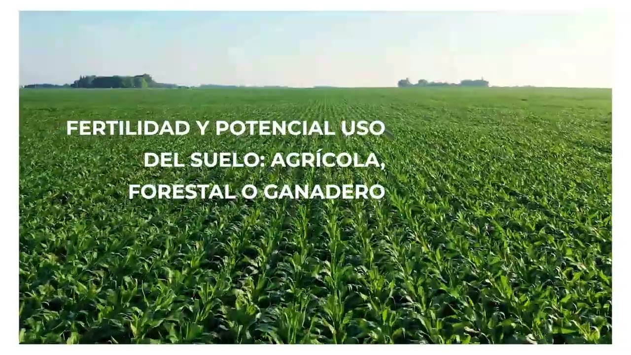 #ARCOTips: &iquest;Cu&aacute;les son las claves en la tasaci&oacute;n de fincas r&uacute;sticas?