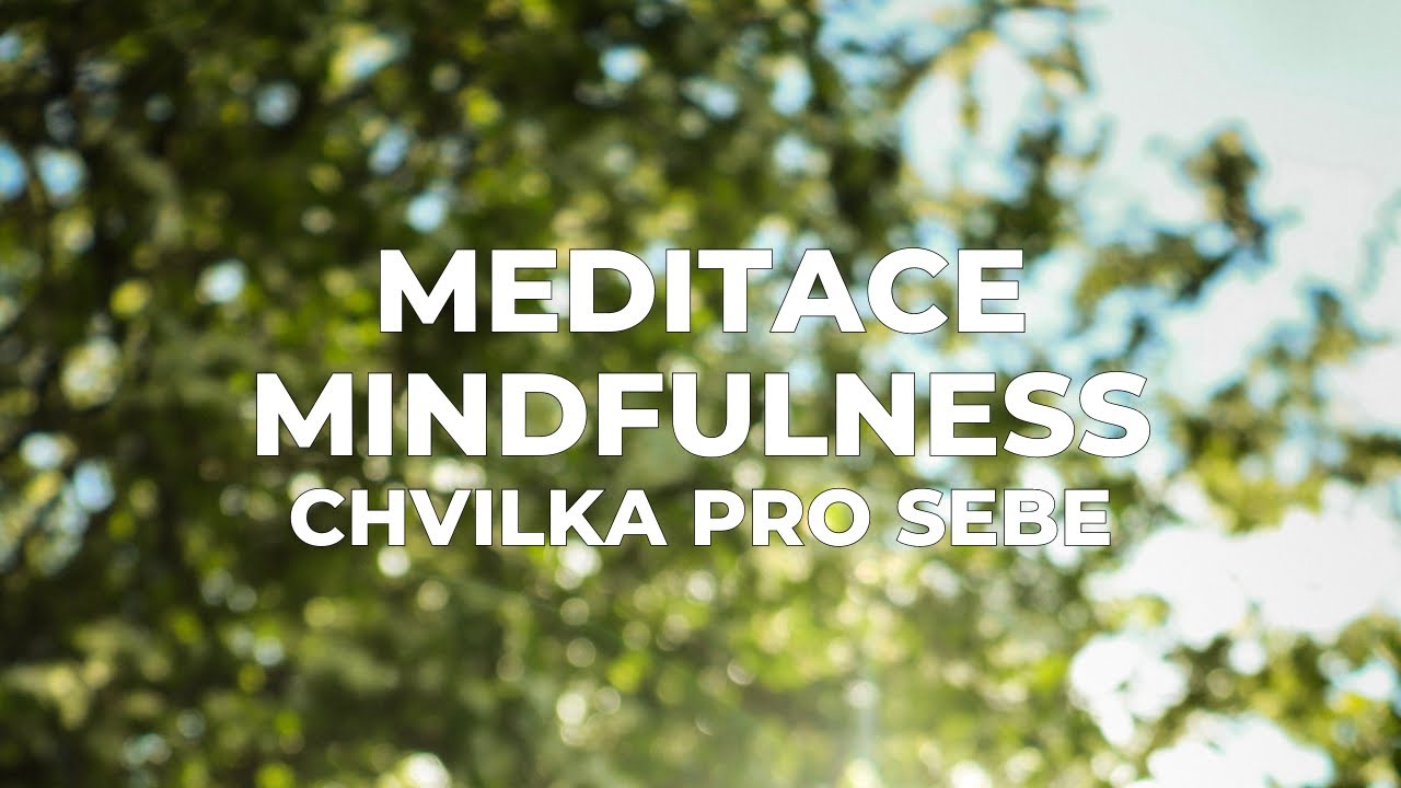 Meditace mindfulness (všímavosti) Chvilka pro sebe (Marek Vich)