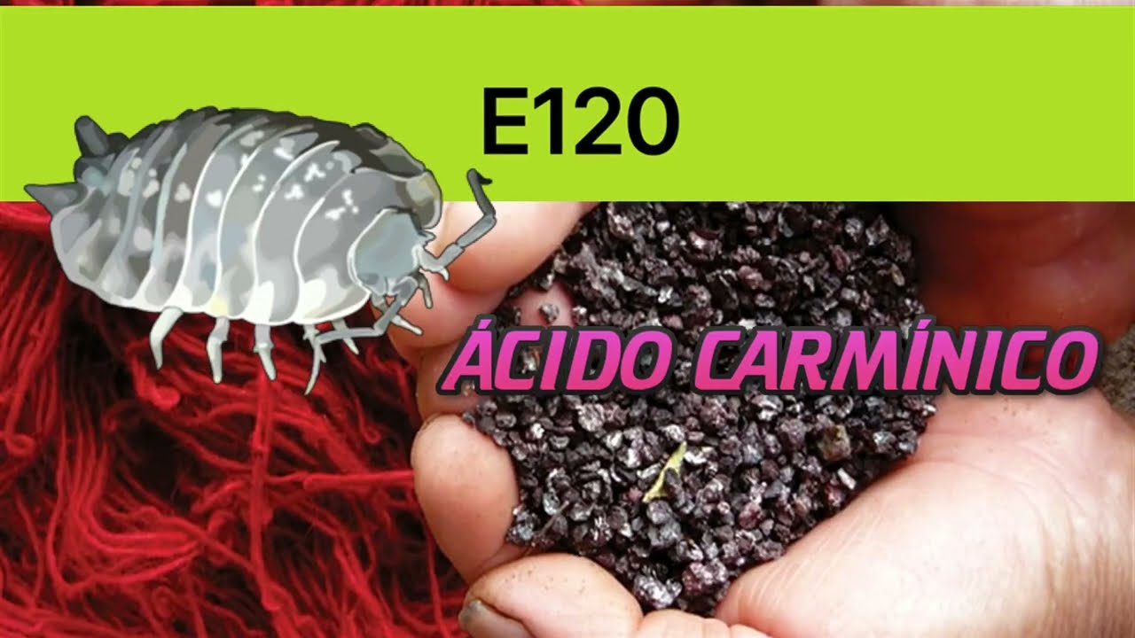 Todo sobre el &Aacute;cido Carm&iacute;nico (Colorante Alimentario E120) DOCUMENTAL COMPLETO 🔴