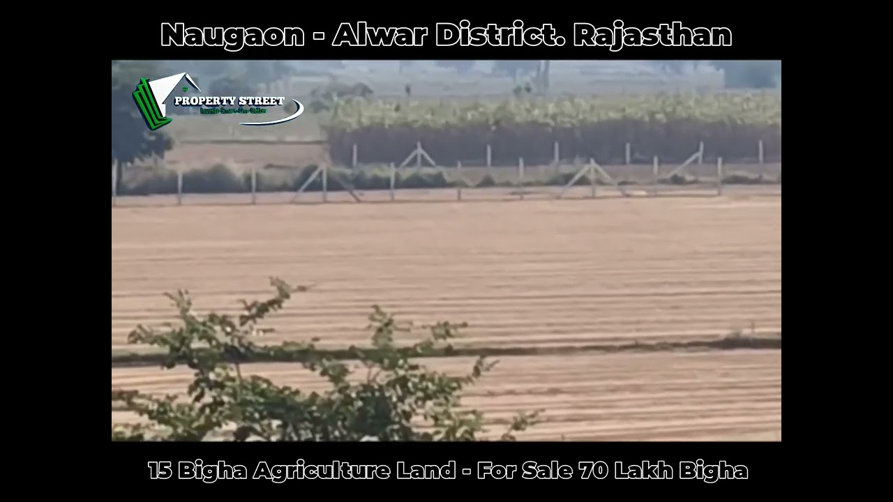 Naugaon ,Alwar - 15,Bigha. Agriculture Farm Land For Sale