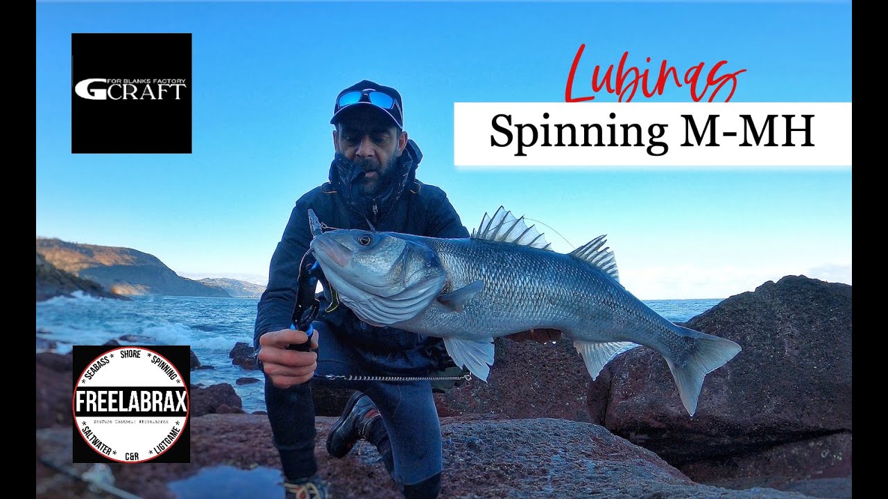 -Lubinas en la Rompiente -G CRAFT MS-1102HS-TR BLACKFIN HOKUSEI SPECIAL [3,35 metros-Max: 55gramos]