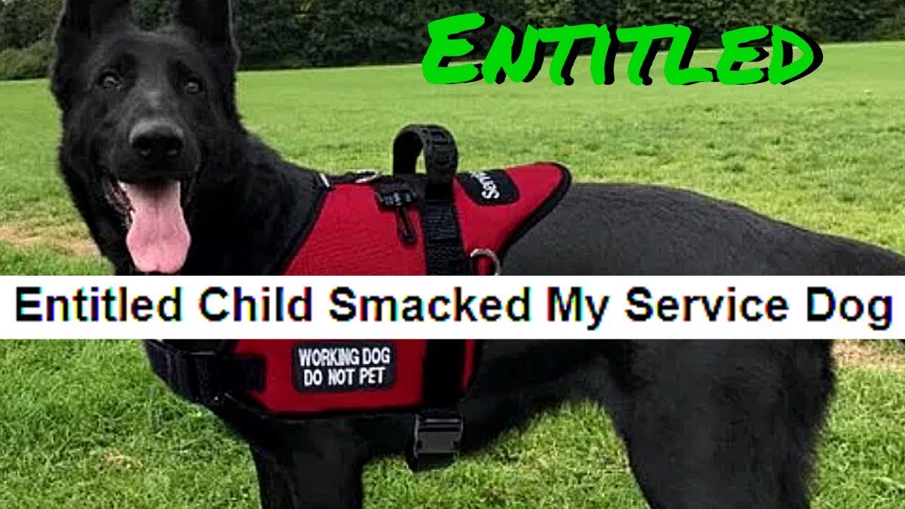 r/entitledparents | YOU OWE MY CHILD YOUR LIFE [2] | Reddit Cringe