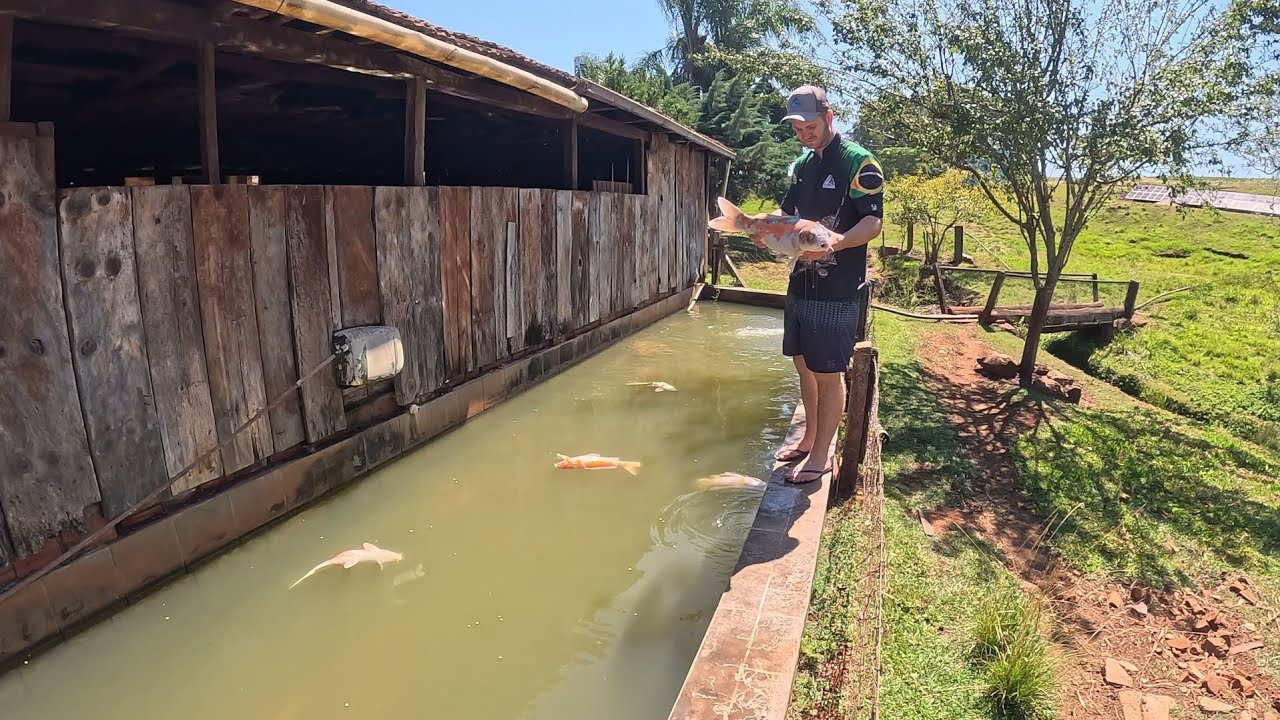 Não acredito que aconteceu isso