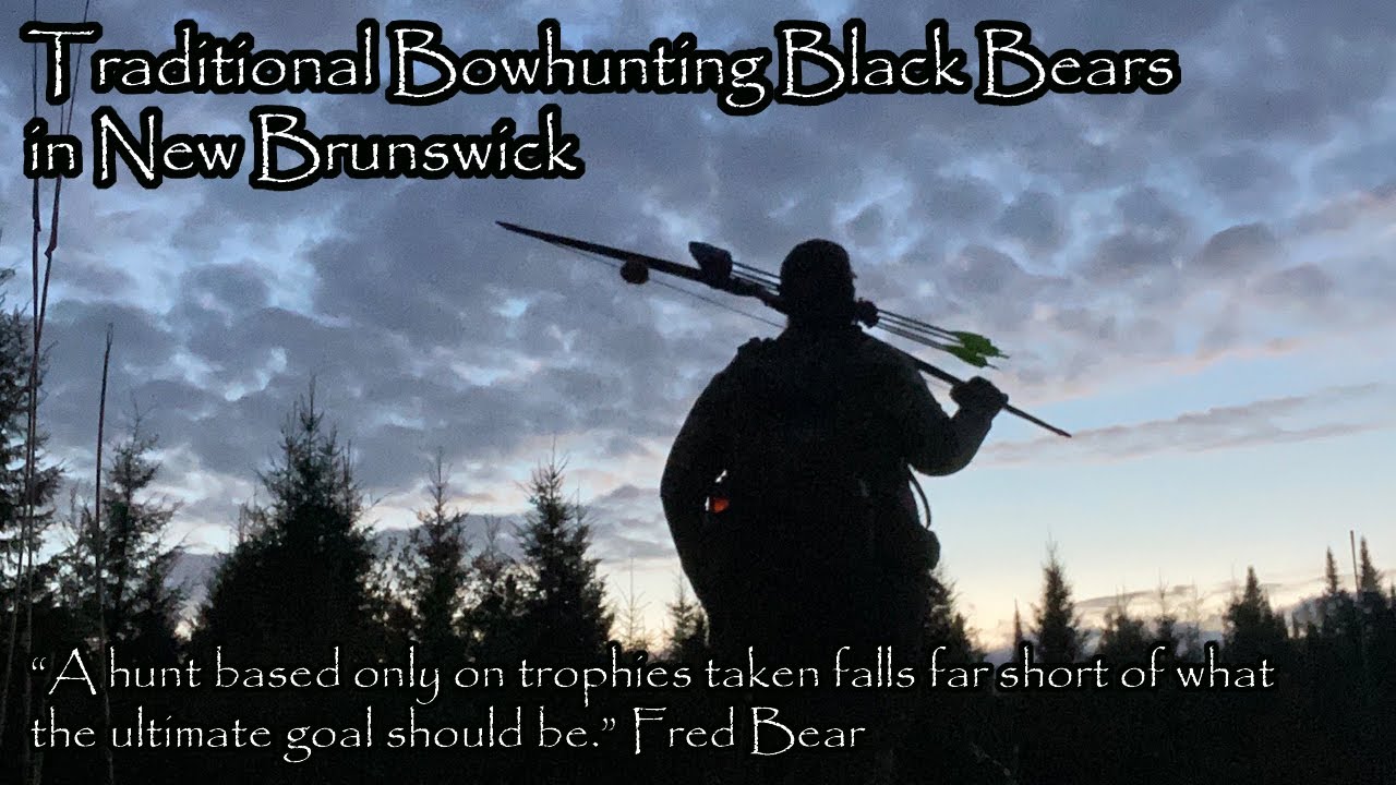 Traditional Bowhunting Black Bear in New Brunswick