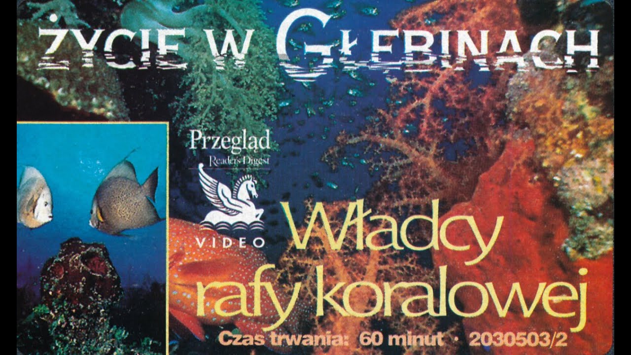Reader's Digest - Życie w głębinach - Władcy Rafy Koralowej (2/3)