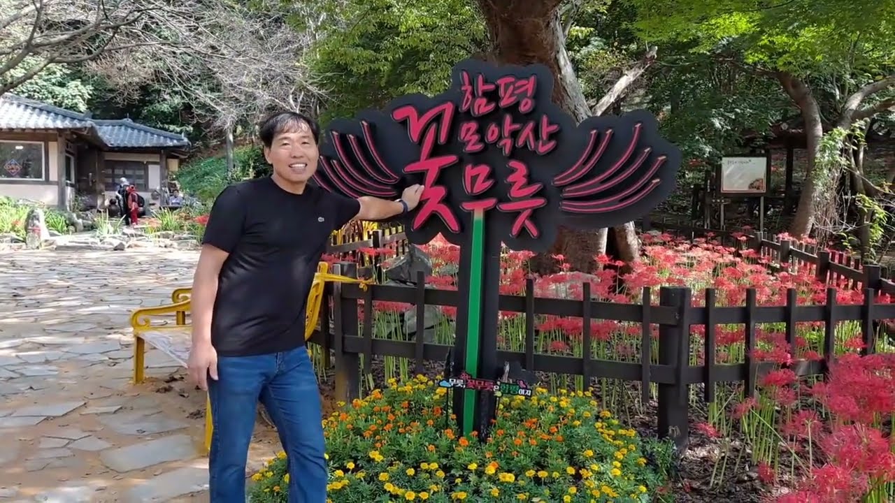 가을여행좋은곳 불갑사가면 사람들이 열광하는 이것을 볼수있어요