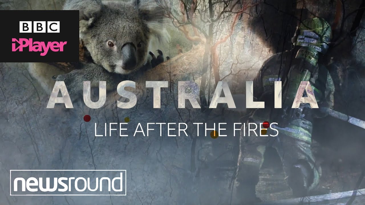 Australia fires: Life during and after the worst bushfires in history | Newsround | CBBC