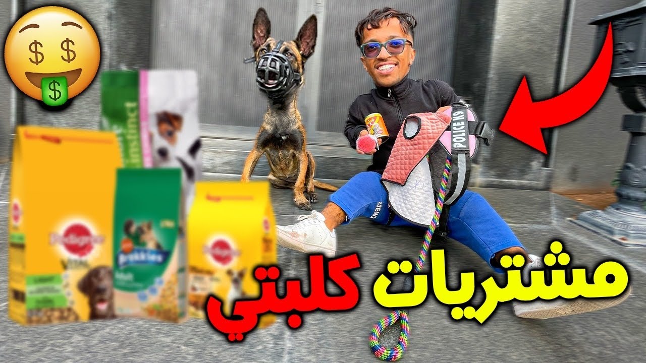ما تخيلوش شنو شريت لكلبة ديالي بلباو 😱وها شحال خسرت عليها💵💰