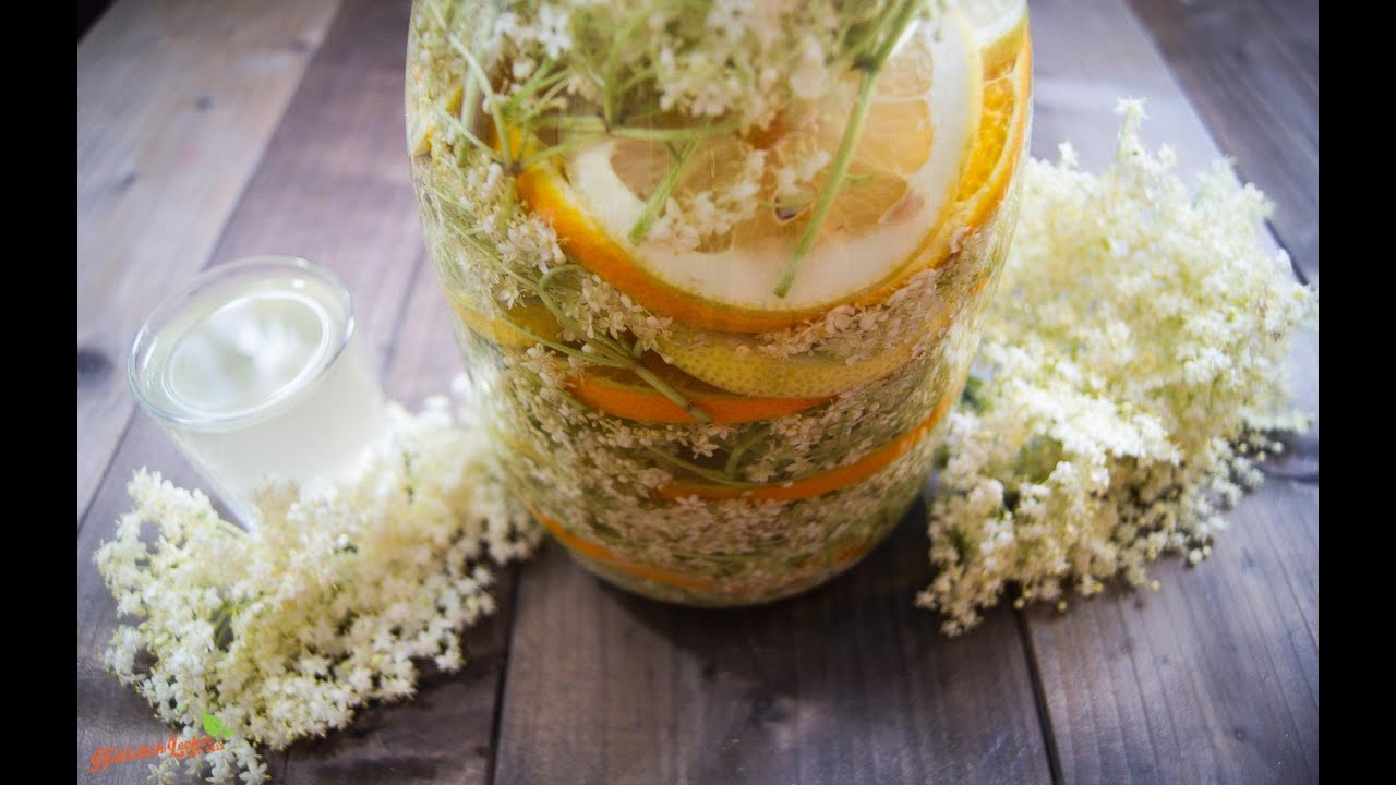 Holunderblütenlikör selber machen -- Rezept und Anleitung