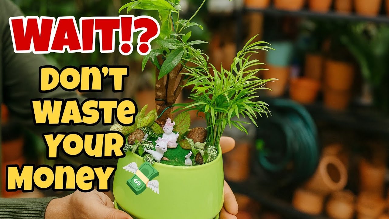 How to Make a Mini Indoor Garden 🌱 Easy DIY Plant Arrangement