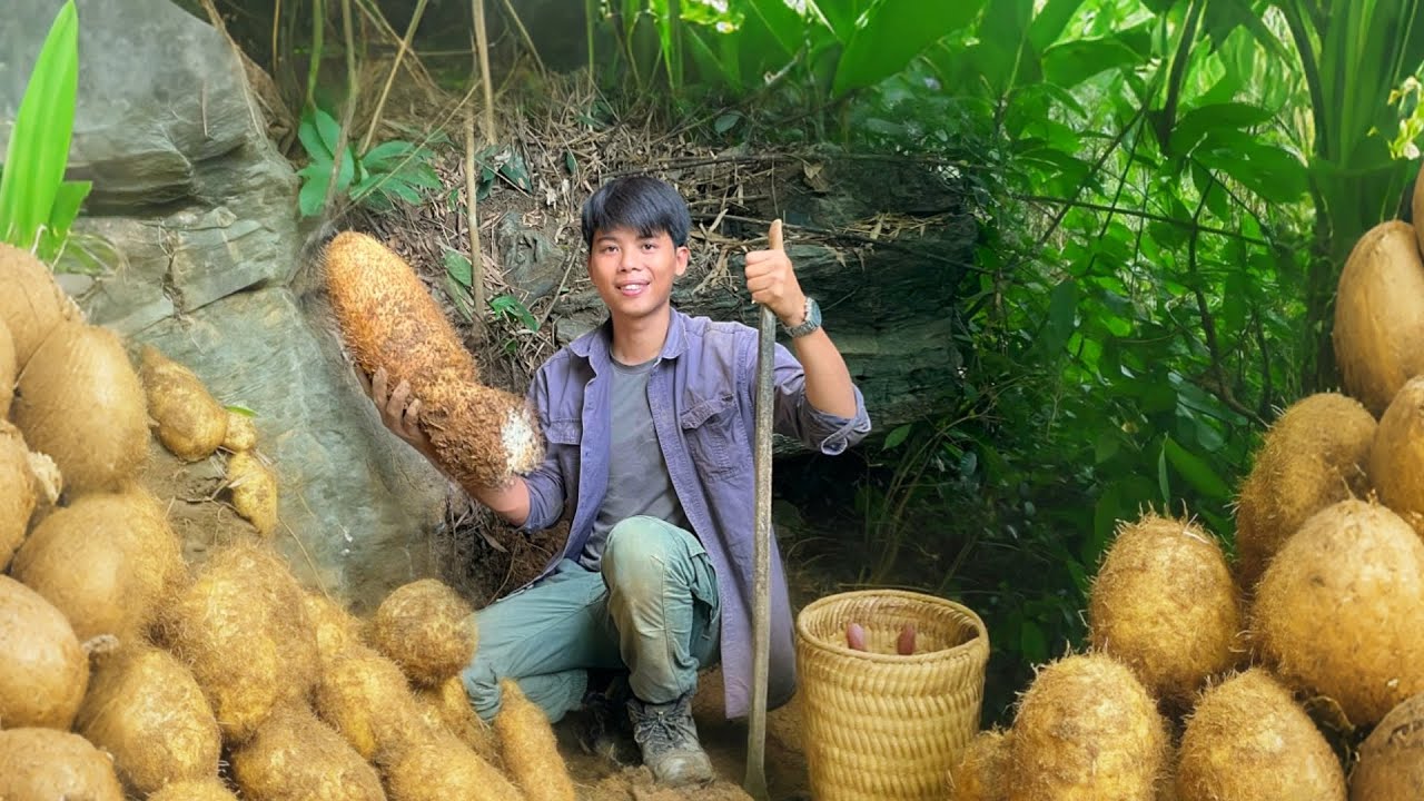 Surviving in the Deep Jungle – Discovered a Strange Root That Saved Me from Starvation!