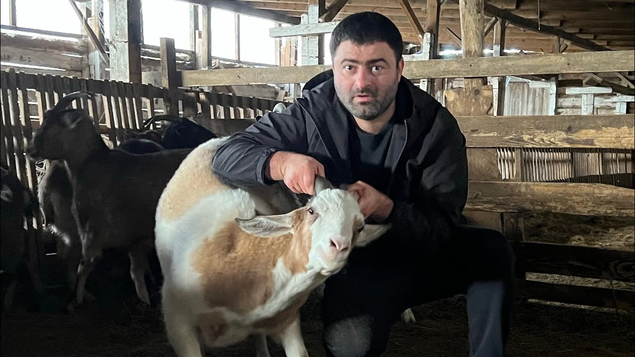 Лучшие Блюда в Помпейской Печи | Зажарили Козла и Индюка | Рецепт Бомба 💣