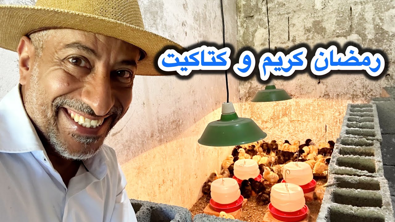 كتاكيتنا و صلت و السمان كمان و الديك الأبيض/ طريقة عمل الإيماس و تسميد أشجار البن