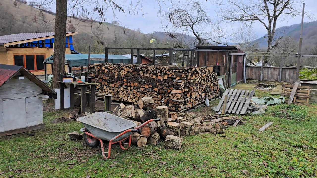 Taiem lemne pentru foc.Curatenie la casuta de la tara!(Cutting Firewood & Simple Village Life)