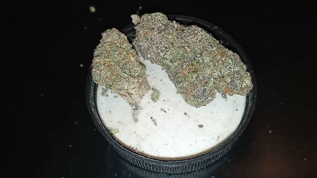 Bubble Bath strain review