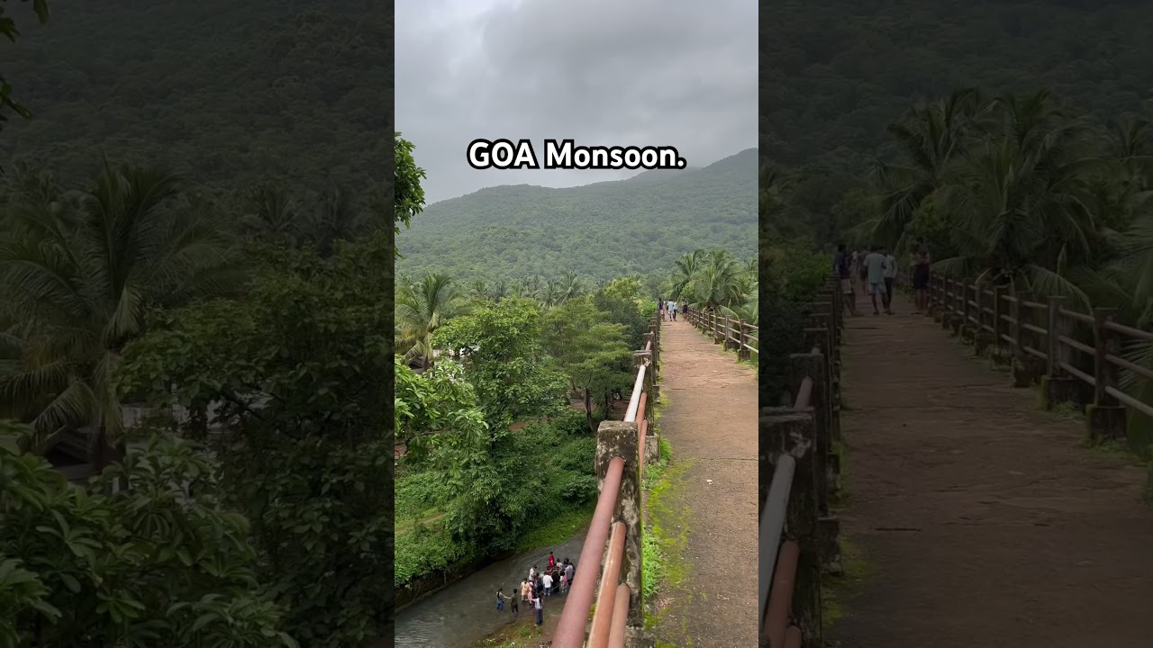 Beautiful Keri foot bridge 📍GOA. #goa #goanature