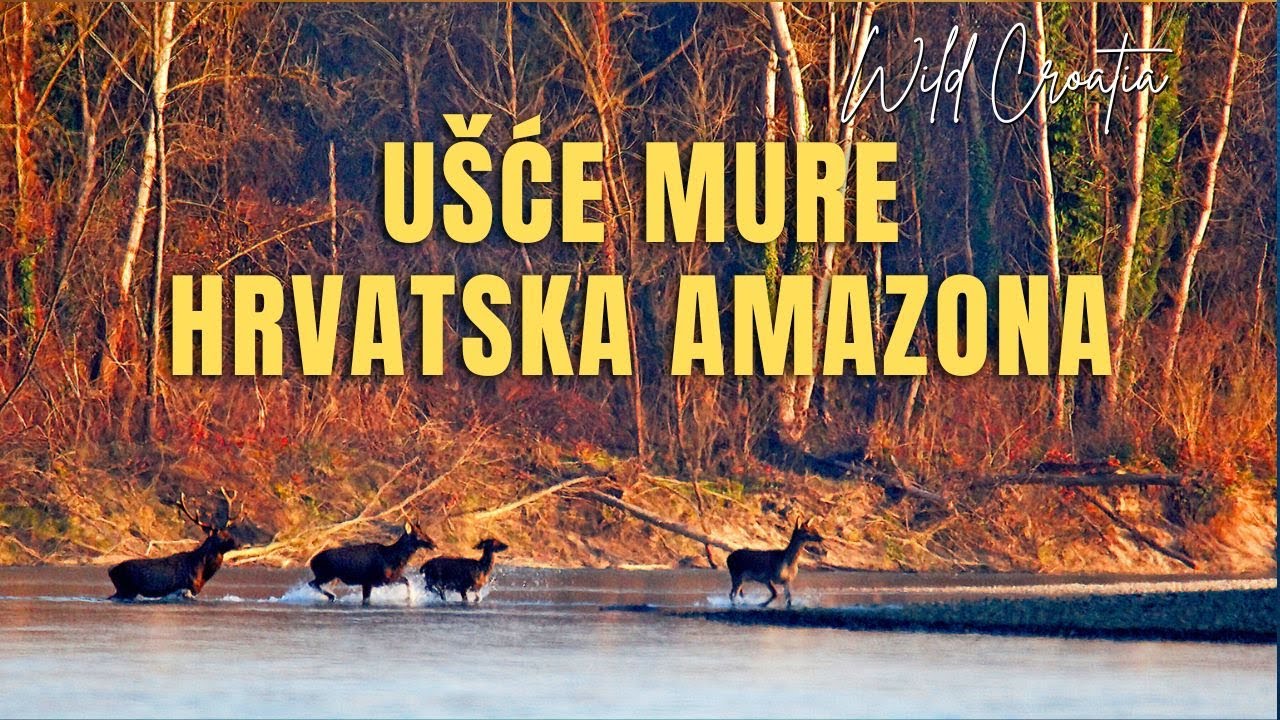 Ušće Mure  - hrvatska Amazona dokumentarni film