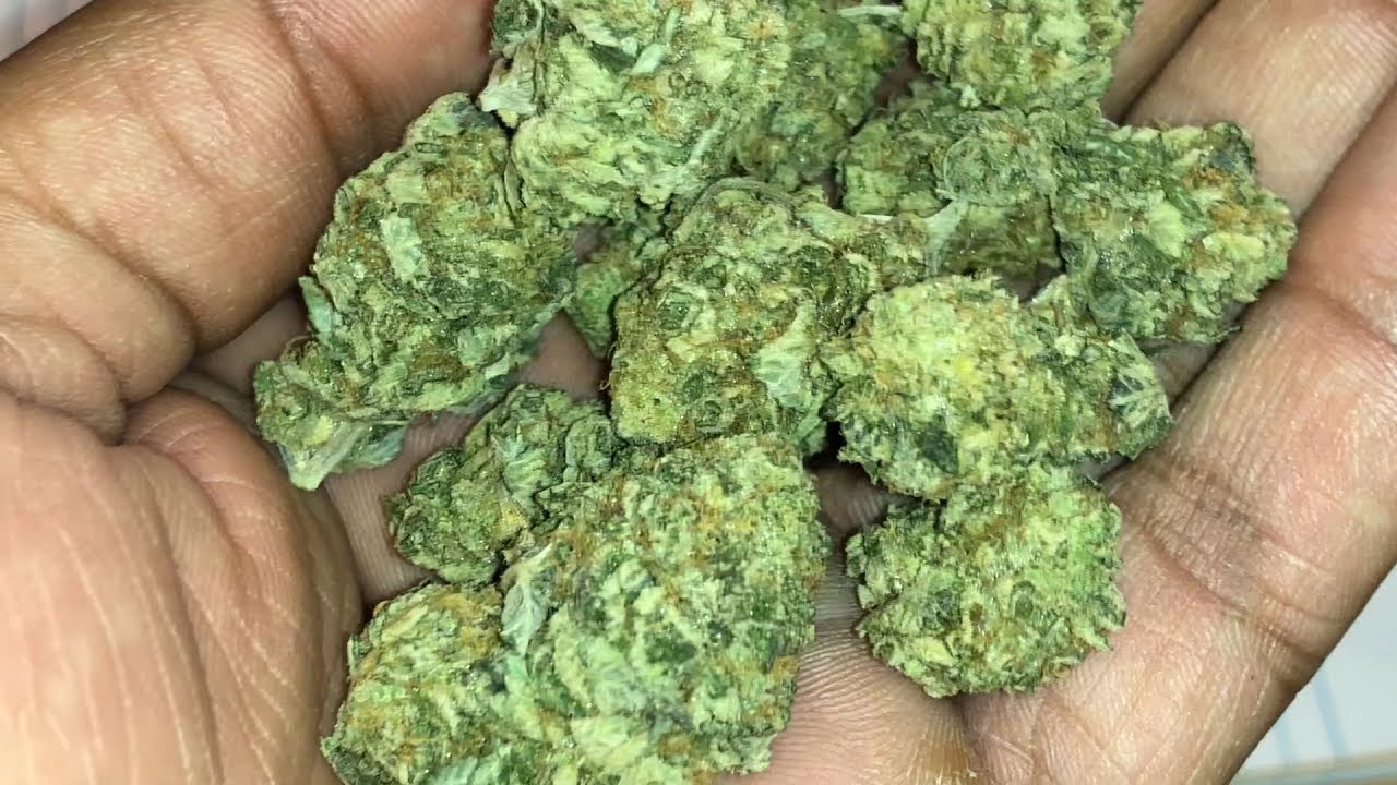 Platinum Girl Scout Cookies Strain Review