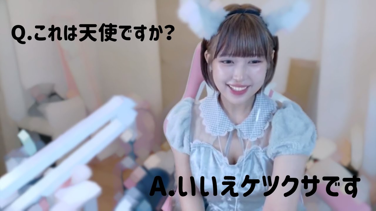 コスプレめたるに想像するな！興奮するな！【柑橘めたる/切り抜き】