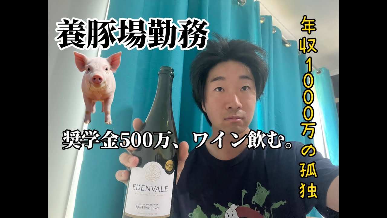 養豚場で泥にまみれ、独りでワインを注ぐ夜。奨学金500万、年収1000万、これが海外出稼ぎのリアル。
