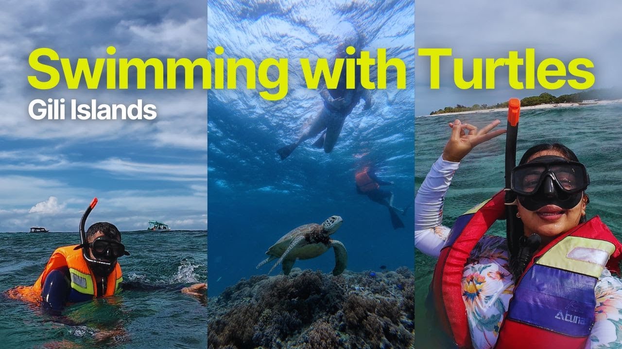 Swimming with Turtles 🐢💙 | Gili Islands Snorkeling Vlog | Day 5