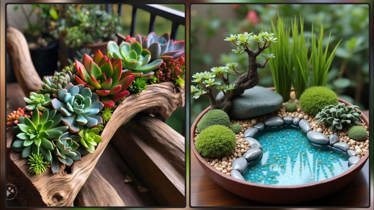 • Nature-Inspired Succulent Arrangement• Indoor Zen Garden Décor | SucculentStyling