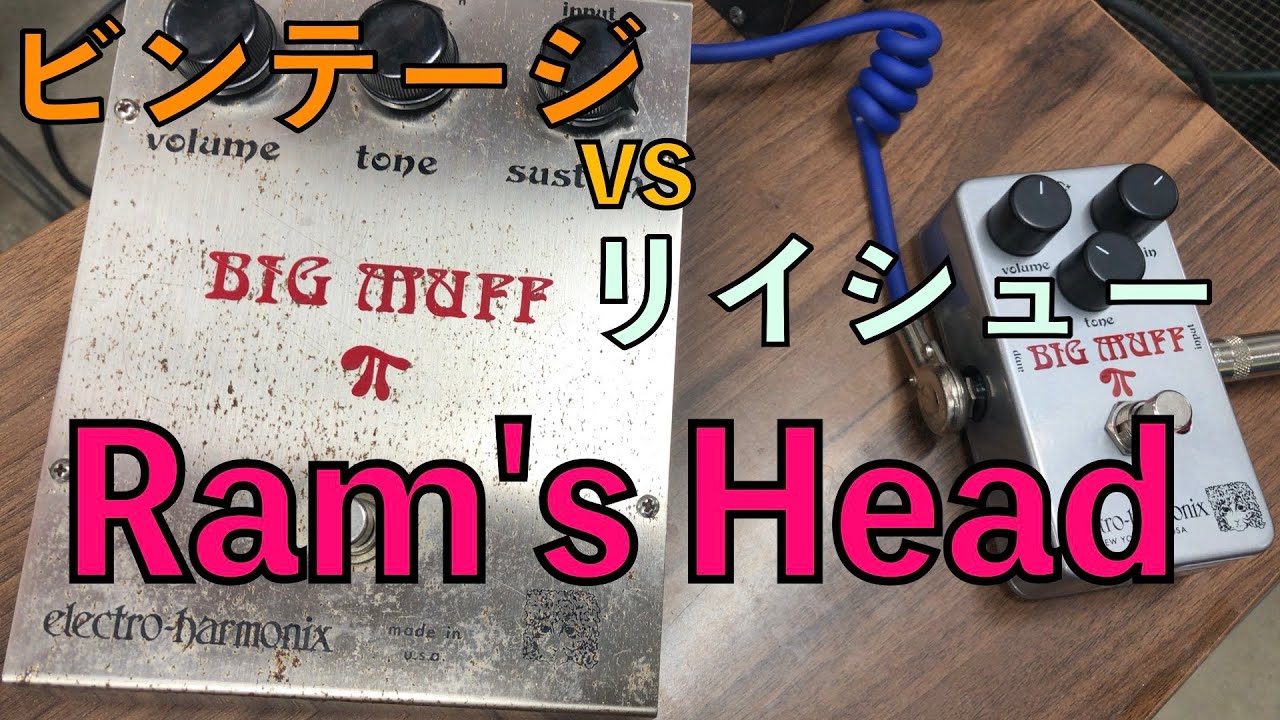 【BIG MUFF】ビンテージラムズヘッドと復刻モデル！新旧モデル弾き比べてみた！