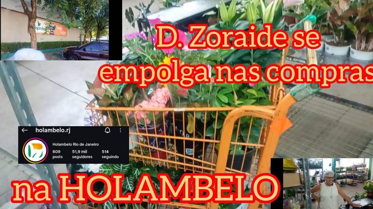 Holambelo um paraíso de plantas com preços que surpreendem.