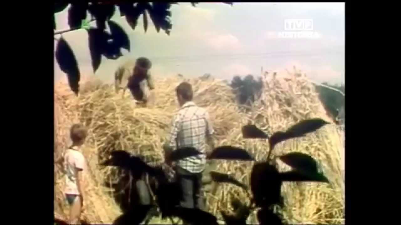 PRL 1984 Żniwa. ZSMP: Każdy kłos na wagę złota. Port Szczecin