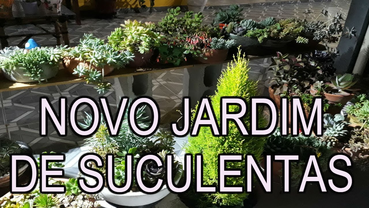 NOVO JARDIM DAS SUCULENTAS