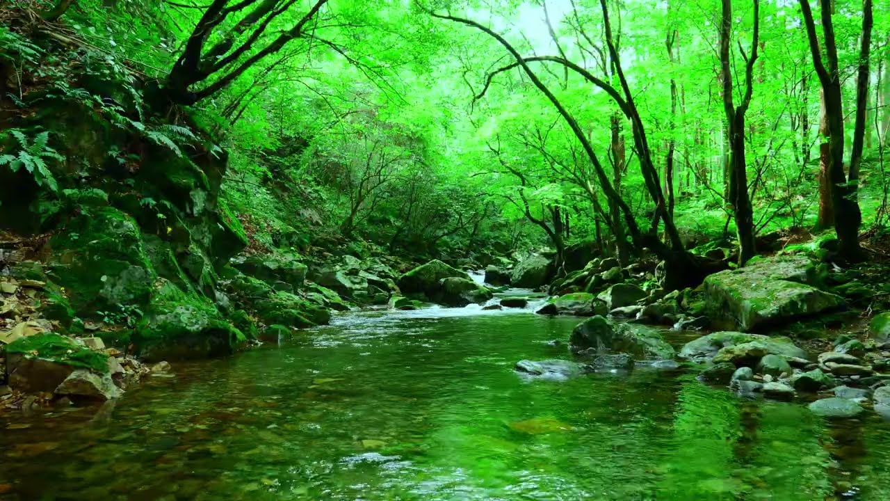 Deep Forest Stream Sounds 🌿 Relaxing Creek Water for Sleep, Study & Meditation  4K Nature Ambience