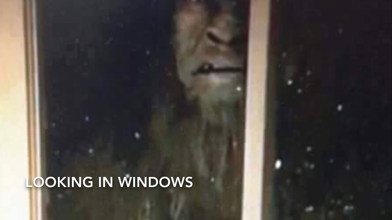 Common Bigfoot Behaviors.