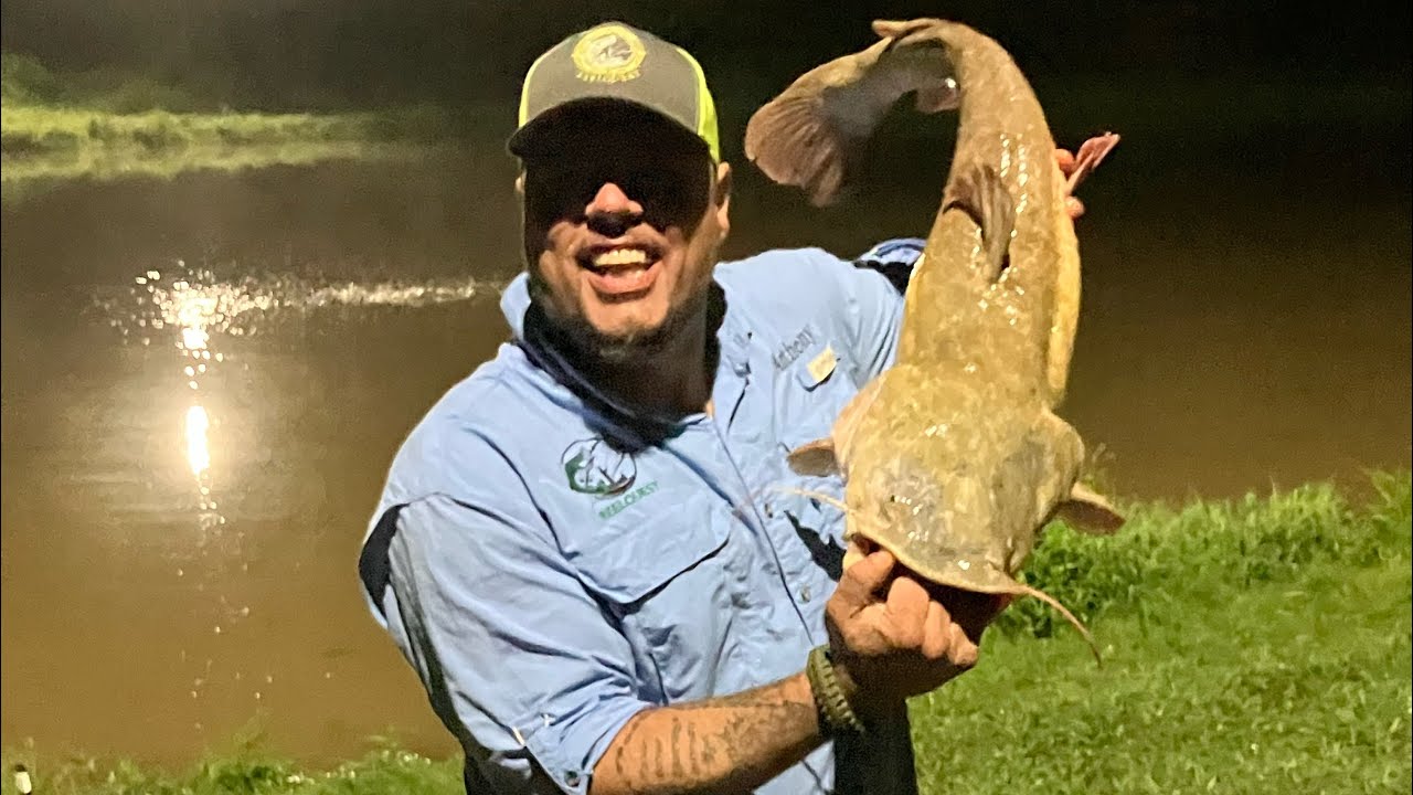 This fish with small compared to these two Qwackers