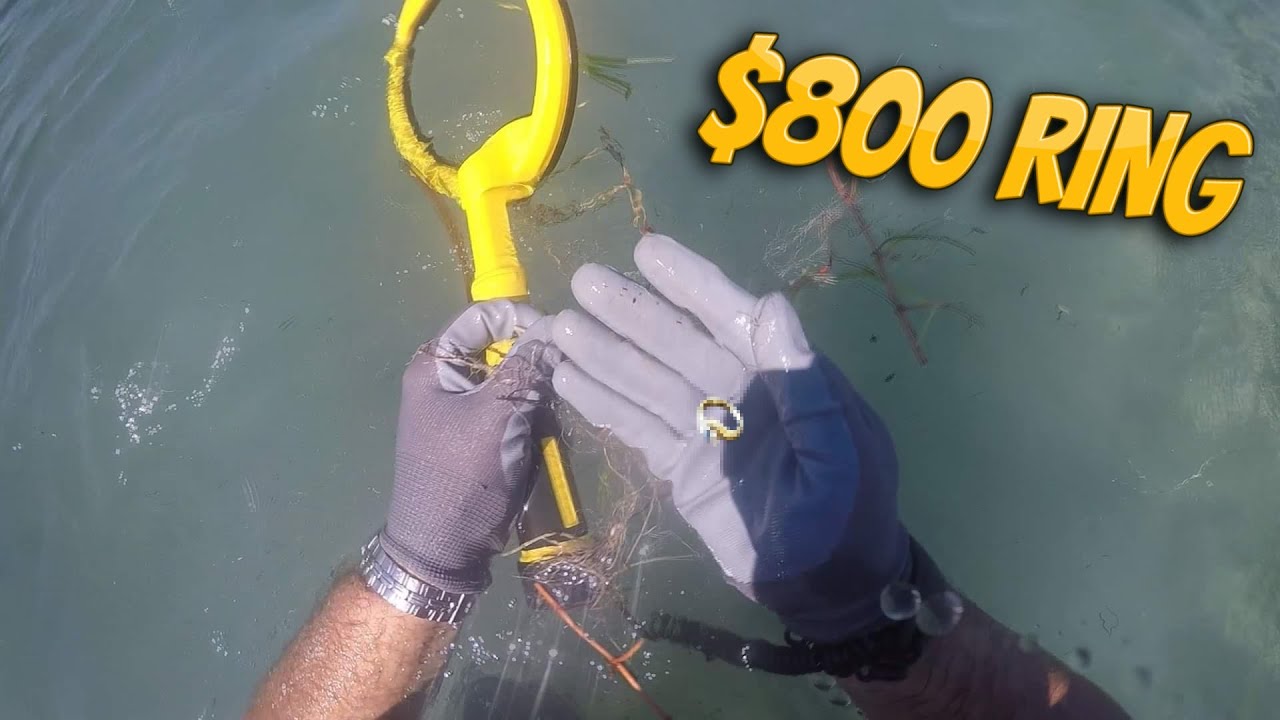 Uncovering $800 Ring Underwater Metal Detecting