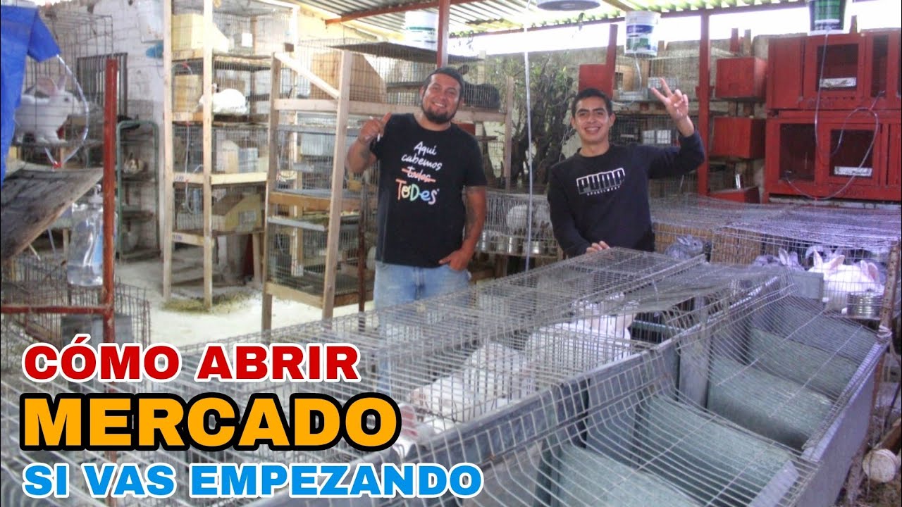 LA GRANJA más GRANDE que he VISITADO (GRANJA BOLBUR) 🐰🤠