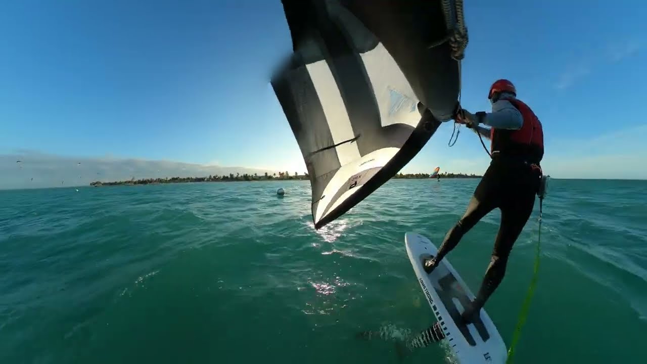 Cuba Wing & Kite Dec ,2023