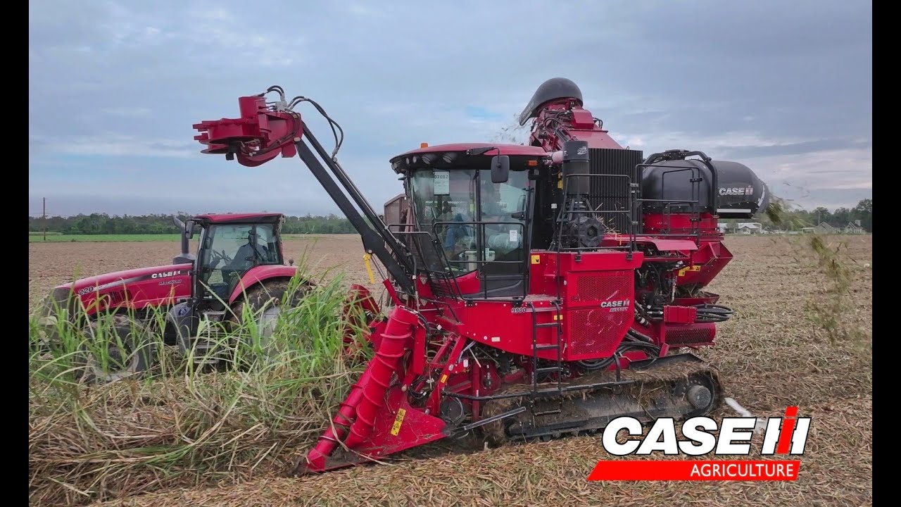 First Day With a New Case IH 9900 Cane Harvester 4K