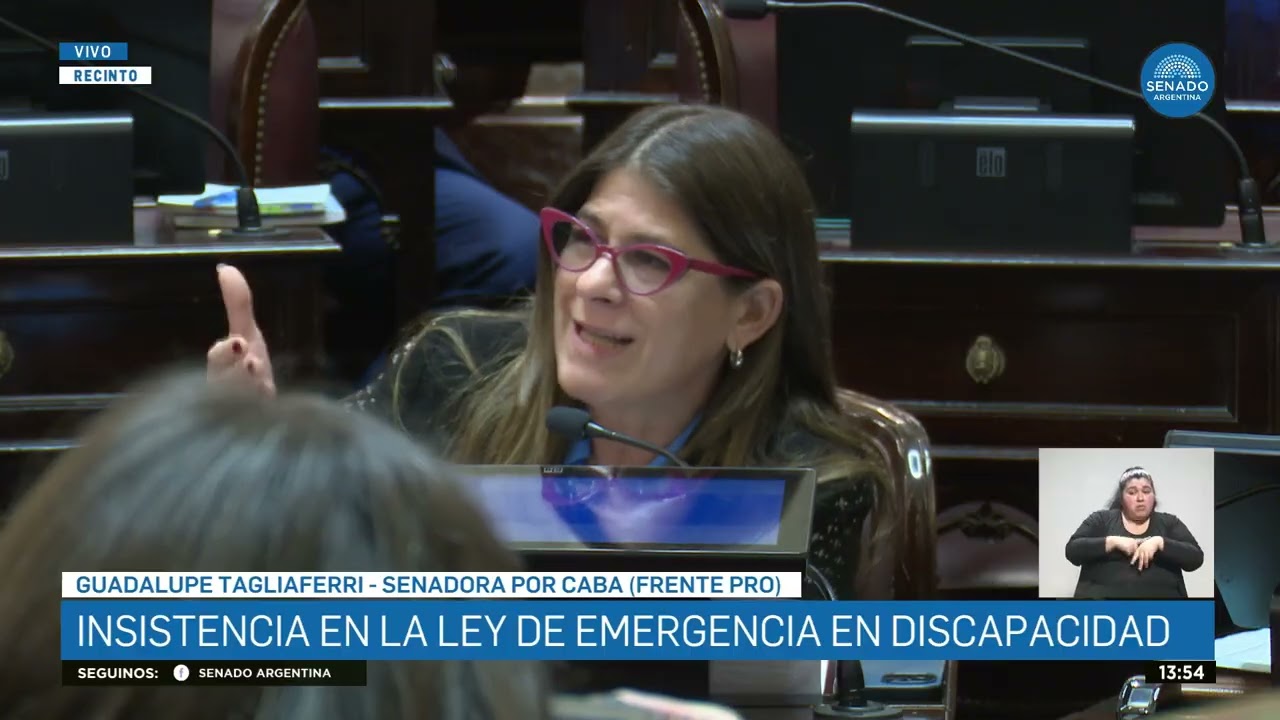 SENADORA GUADALUPE TAGLIAFERRI - SESI&Oacute;N 04-09-25
