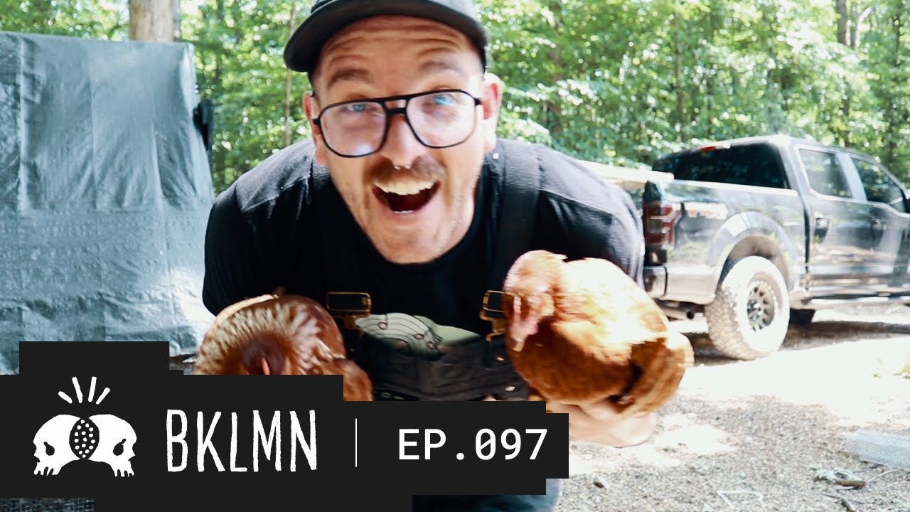 A Year Later Update :: Introducing New Hens to the Coop :: BKLMN Vlog #97