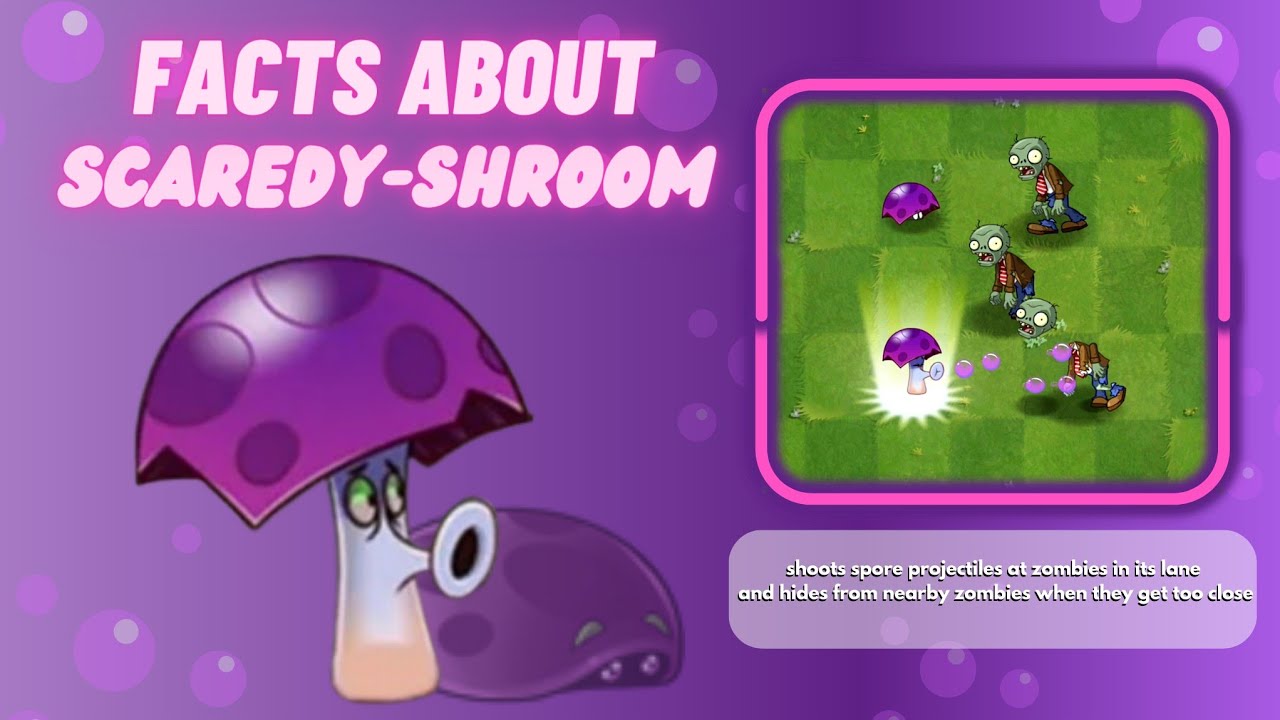 facts about scaredy-shroom from pvz2